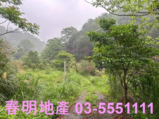 新竹北埔農地-2