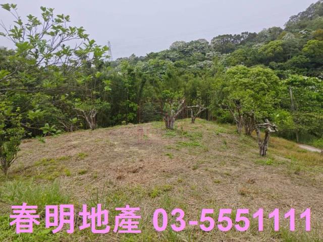 頭份農地-2