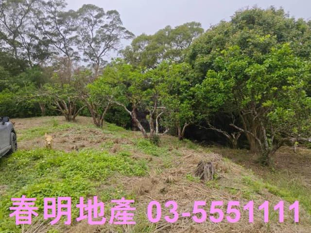 頭份農地-5