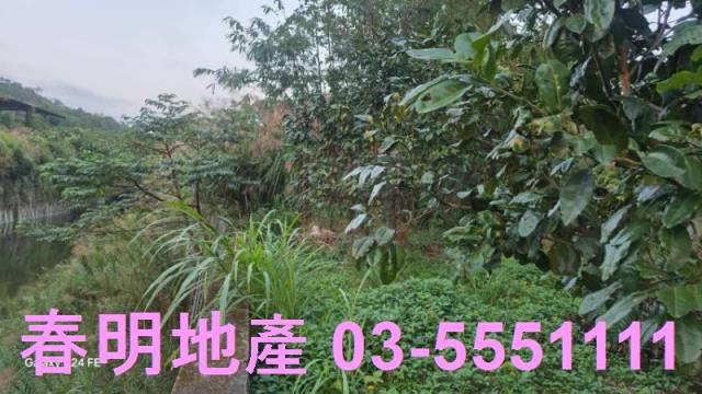 苗栗造橋農地-6