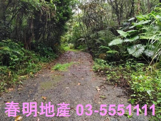 新竹芎林林地-1