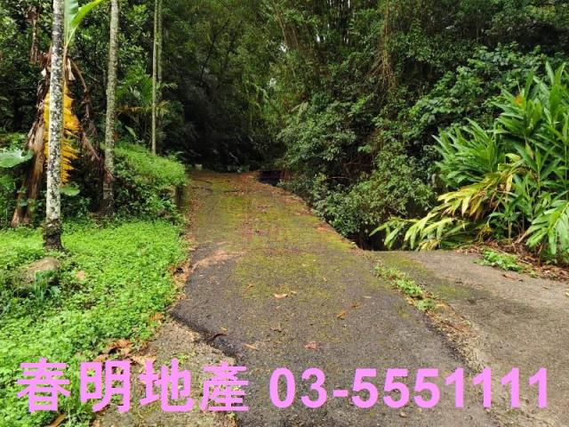 新竹芎林林地-4