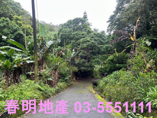 新竹芎林林地-5