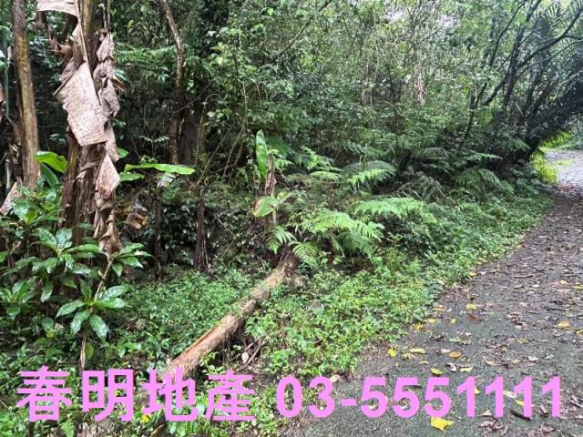 新竹芎林林地-6