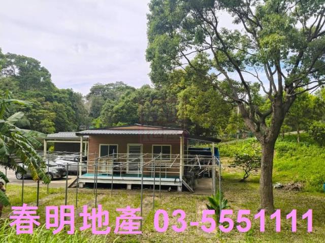 苗栗農地-4