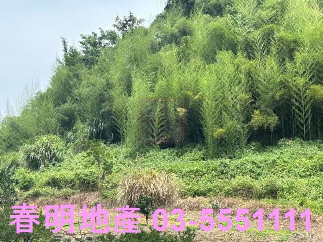 峨眉建地-2