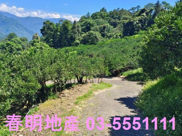 橫山農地-9