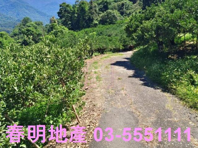 橫山農地-12