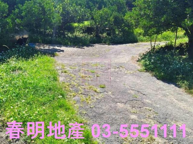 橫山農地-3