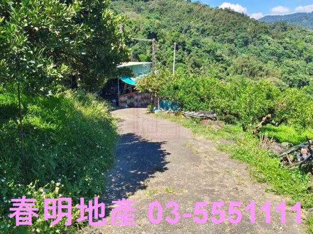 橫山農地-4