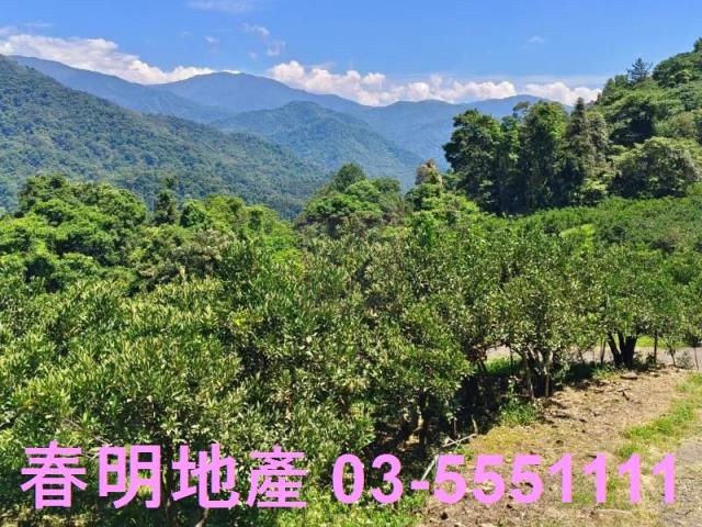 橫山農地-8