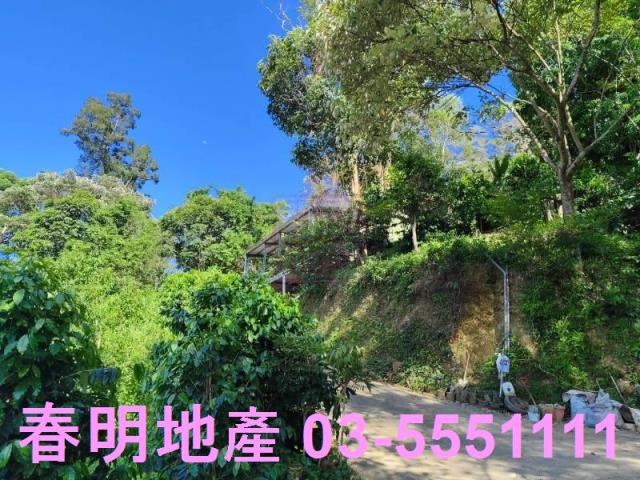 北埔農地-3
