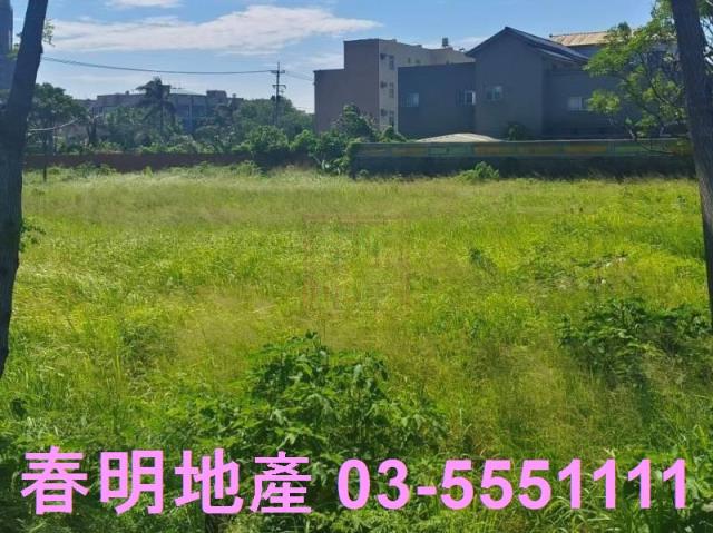 新竹新豐農地-0