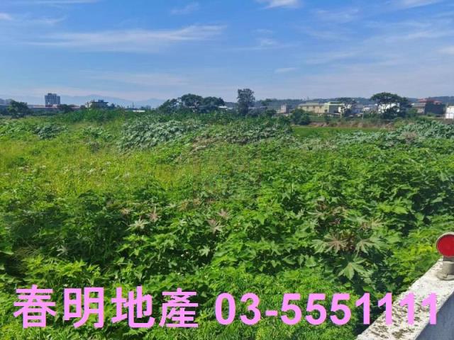 新竹新豐農地-6