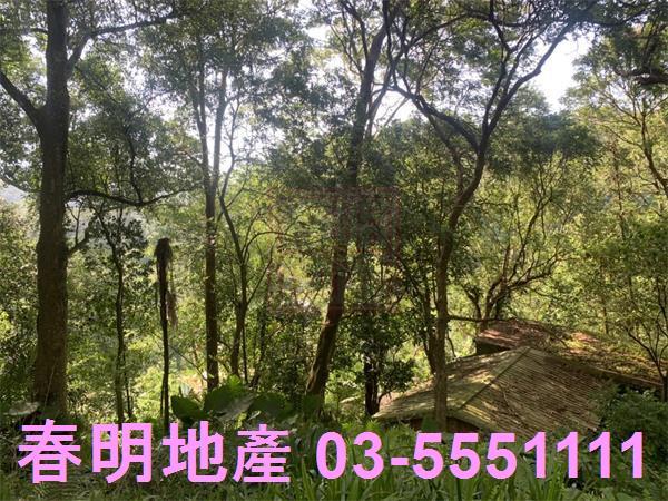 北埔建地-9