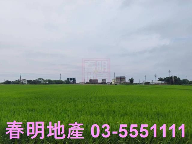 新豐農地-0