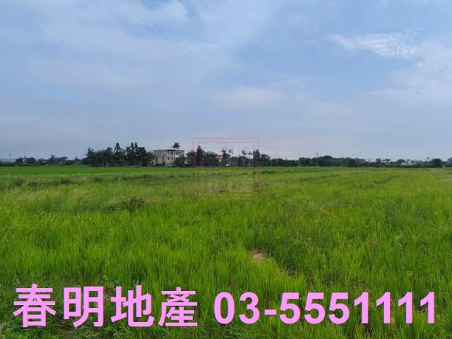 新豐農地-1