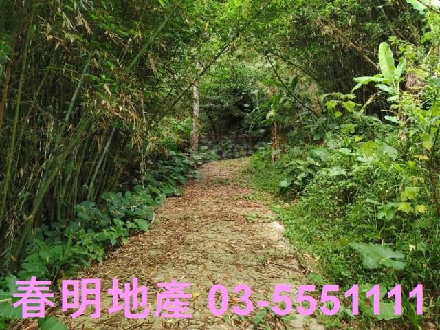 關西農地-0