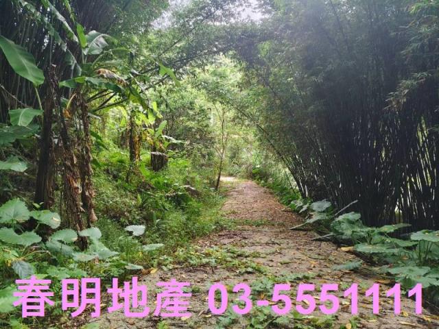 關西農地-1