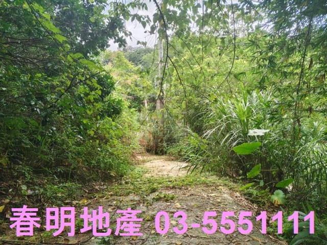 關西農地-5