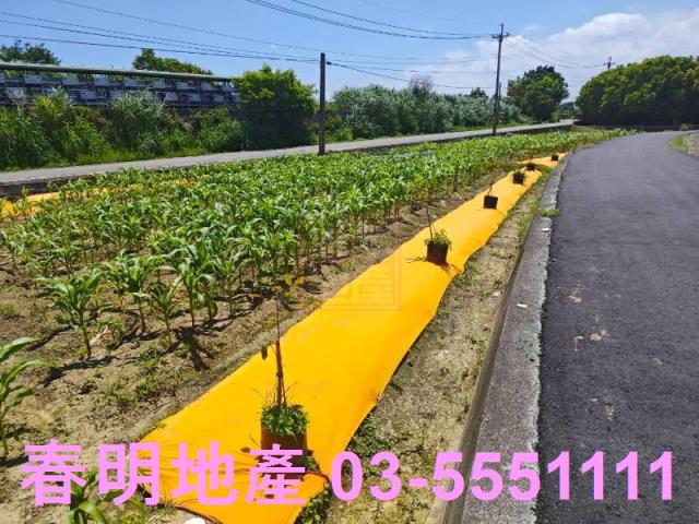 新豐農地-9