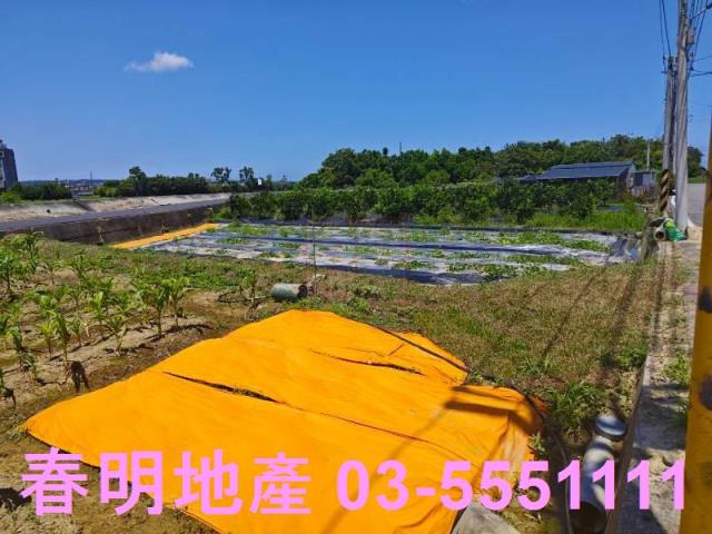 新豐農地-7