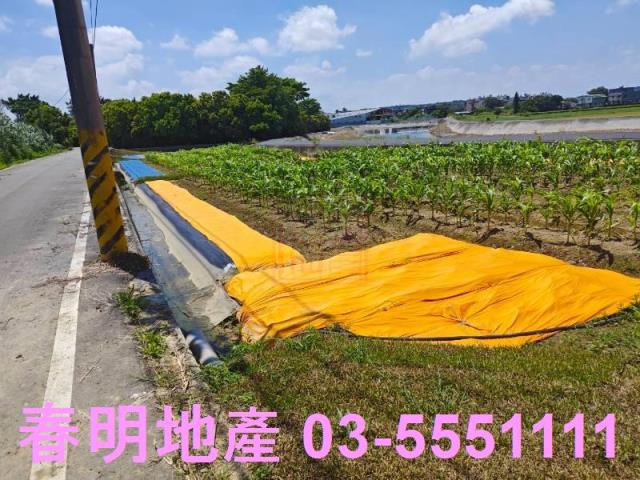 新豐農地-8