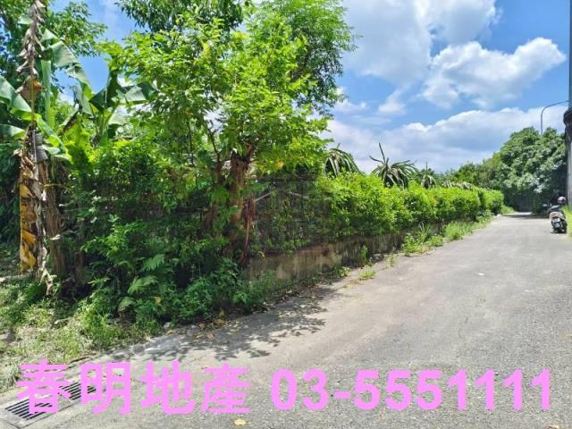 竹東農地-9