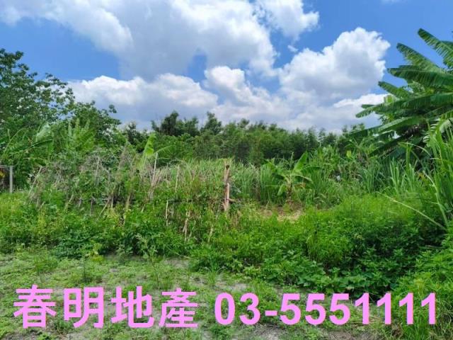 竹東農地-0