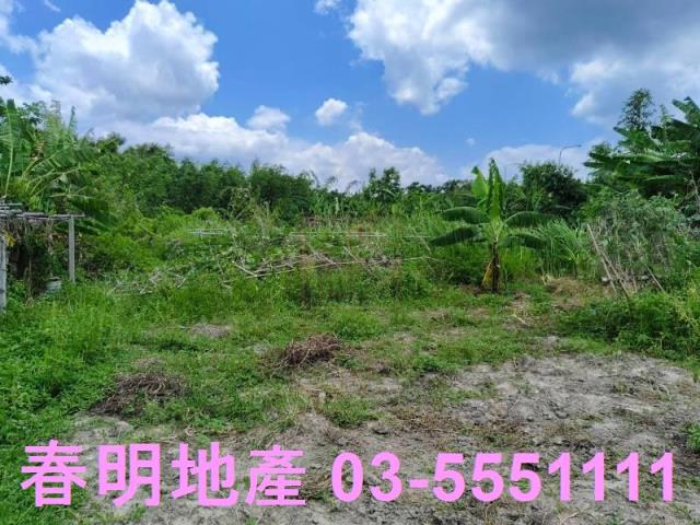 竹東農地-1