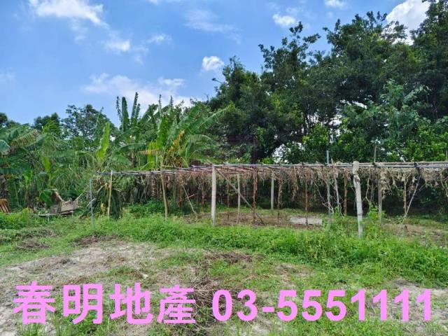 竹東農地-6