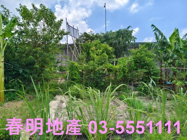 竹東農地-8