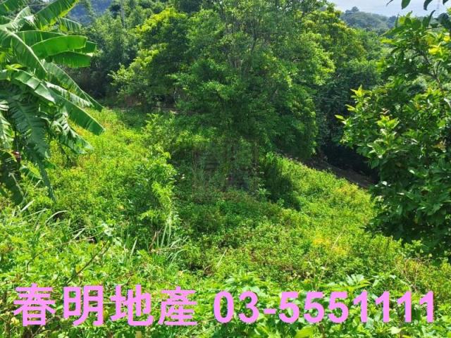 新竹農地-12