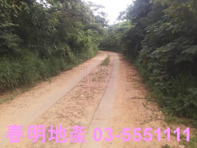 新豐農地-9