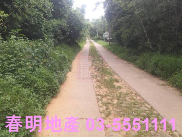 新豐農地-6