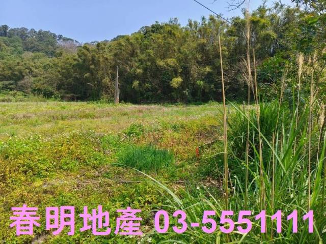 新竹峨眉農地-2
