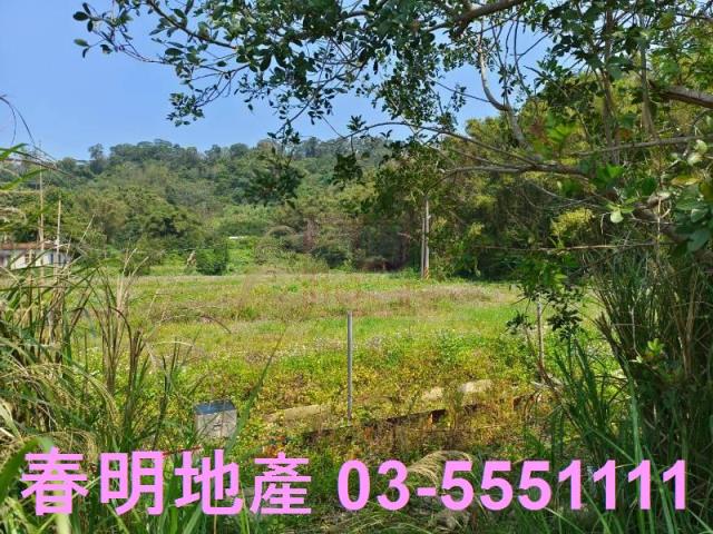 新竹峨眉農地-3