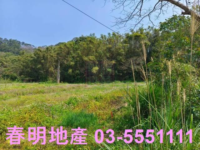新竹峨眉農地-5