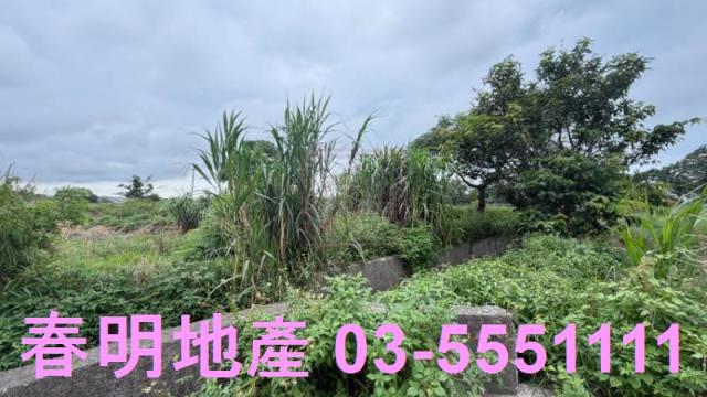 新竹新豐農地-0