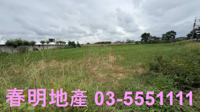 新竹新豐農地-2