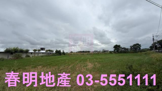 新竹新豐農地-4