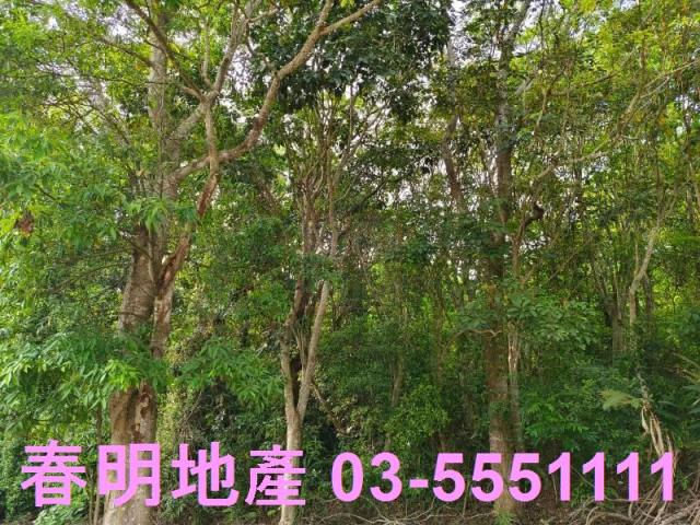 峨眉農地-0