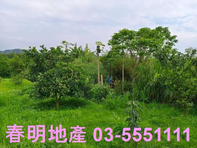 峨眉農地-2