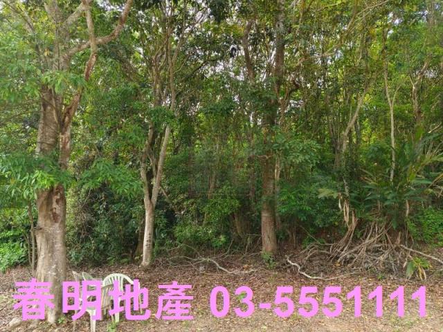 峨眉農地-3