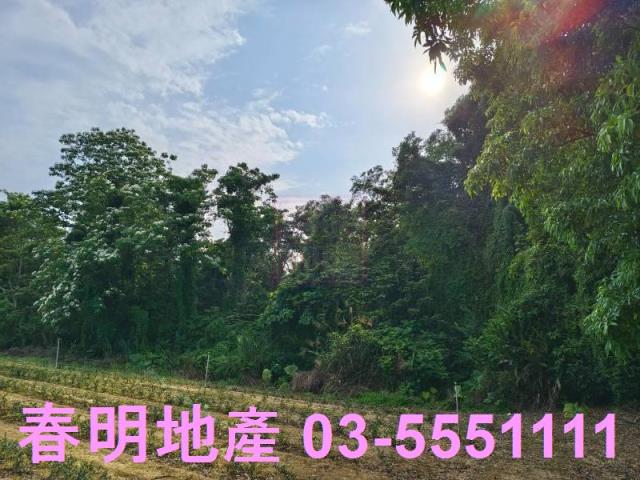 峨眉農地-4