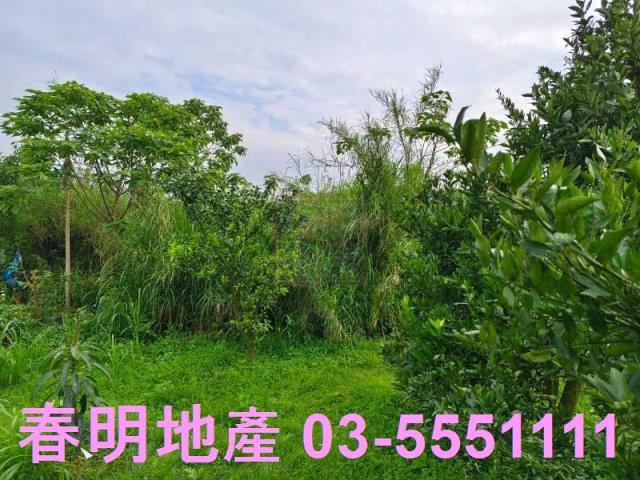 峨眉農地-5