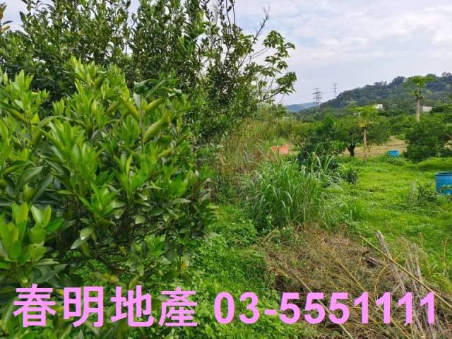 峨眉農地-6