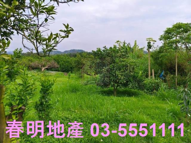 峨眉農地-7