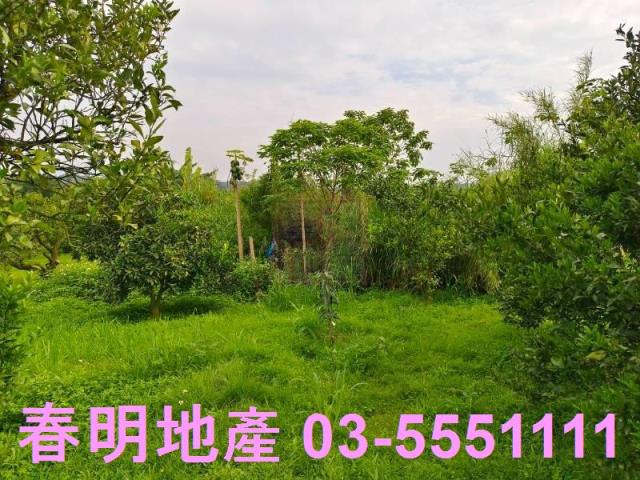 峨眉農地-8