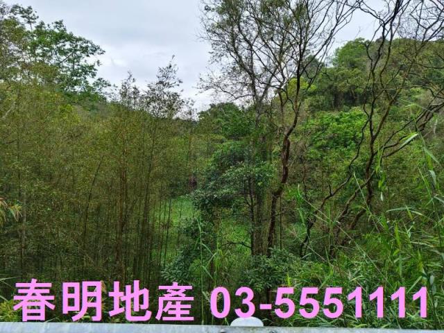 新竹農地-2
